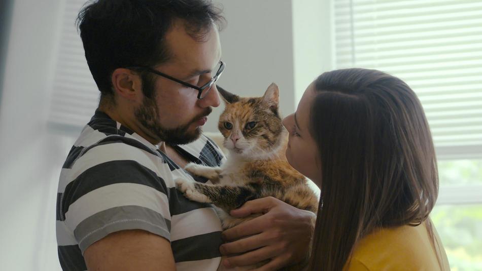 <Cat People> 我貓奴我驕傲