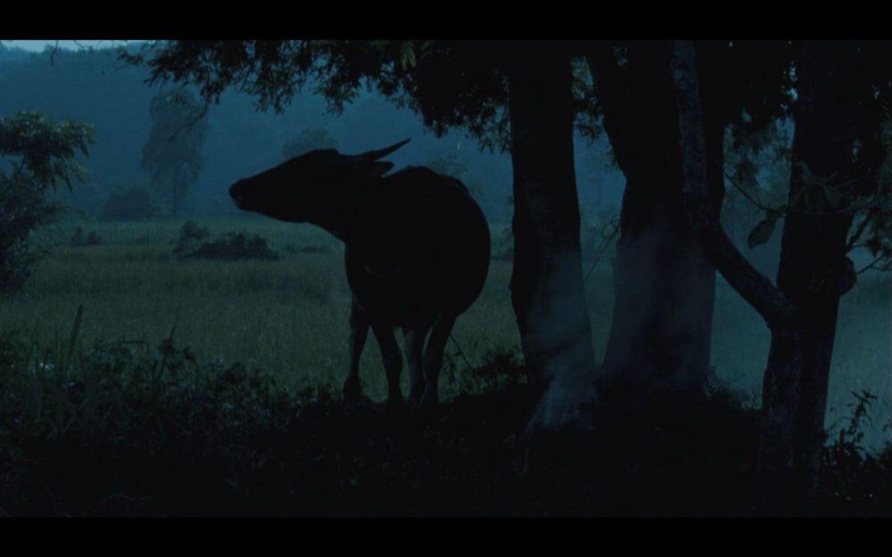 <Uncle Boonmee Who Can Recall His Past Lives> 波米叔叔的前世今生_劇照1