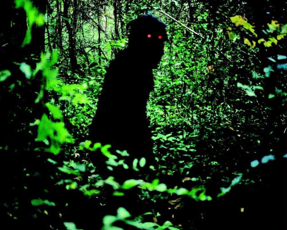 <Uncle Boonmee Who Can Recall His Past Lives> 波米叔叔的前世今生_劇照4