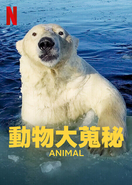 動物大蒐秘_海報