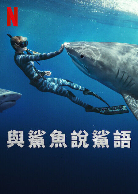 與鯊魚說鯊語_海報