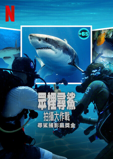 眾裡尋鯊:拍攝大作戰_海報