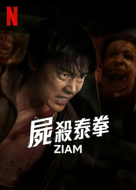 屍殺泰拳_海報