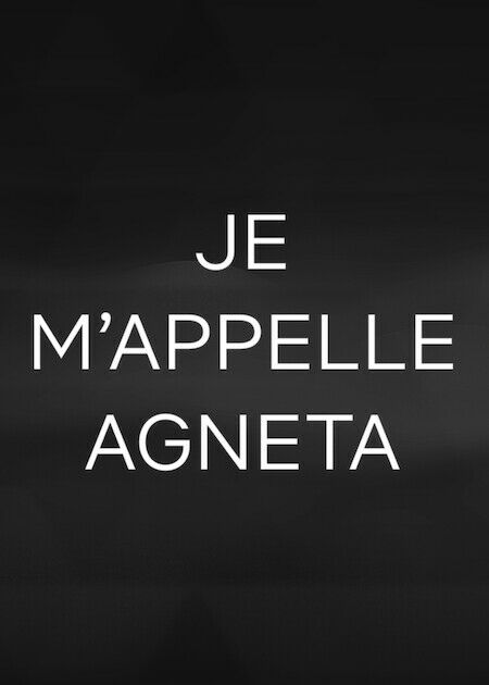 我叫艾妮塔_海報